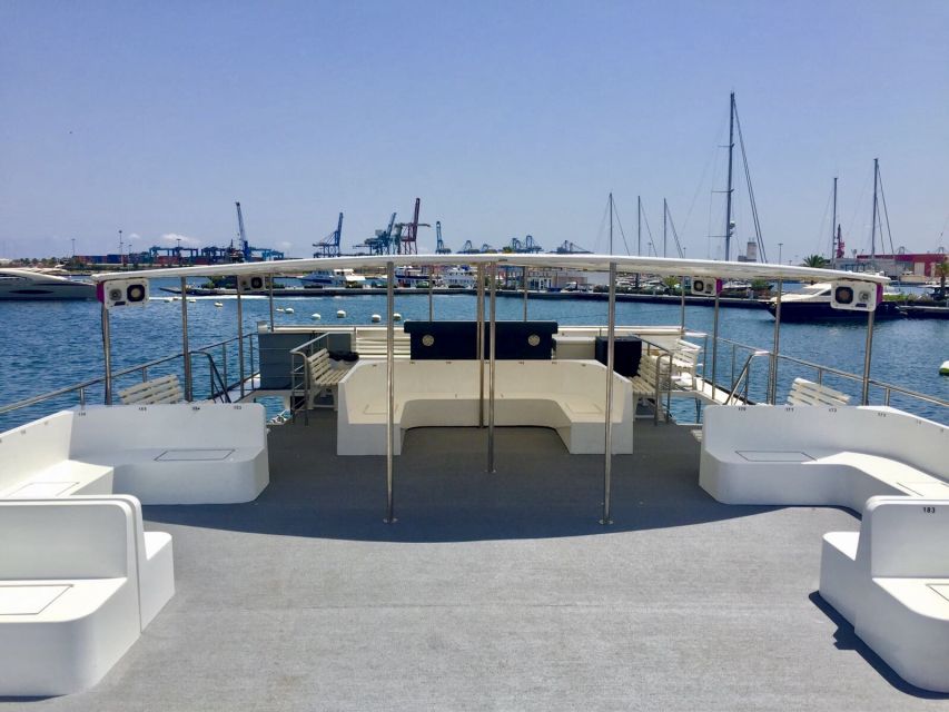 Valencia: Catamaran Cruise With Stop for Swimming - Overview and Pricing
