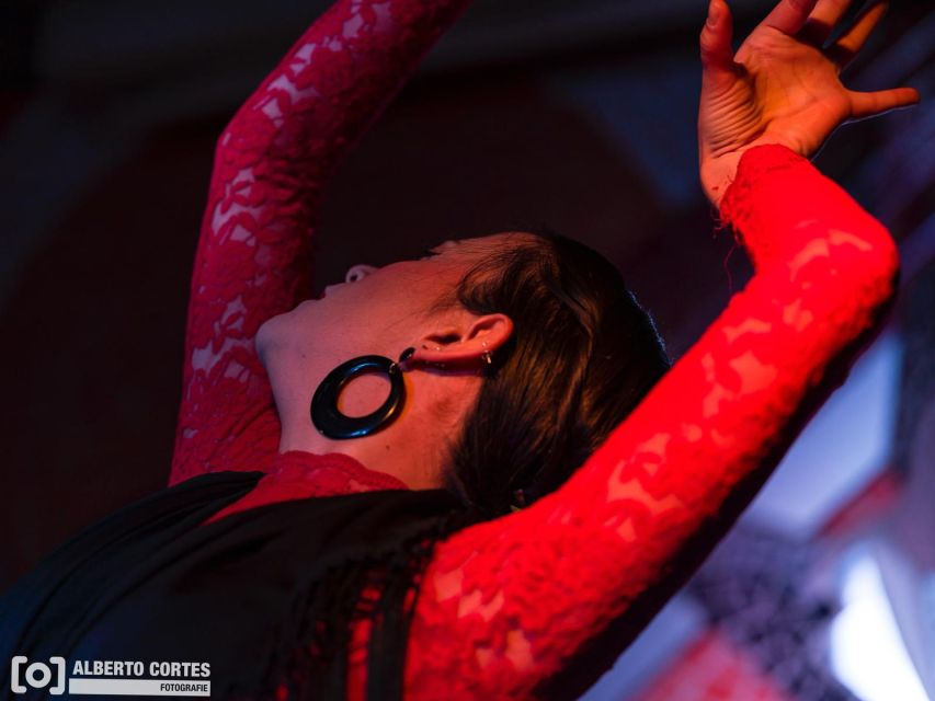 Valencia: Flamenco Dance Performance at Toro Y La Luna With Drinks or Dinner