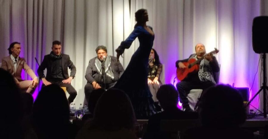 VALENCIA: FLAMENCO SHOW&DINNER LUXURY MENU IN HOTEL ***** - Event Overview