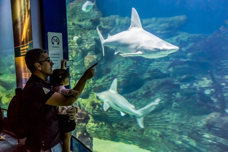 Valencia: Oceanographic Entry Ticket - Ticket Details