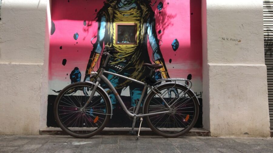 Valencia: Street Art Tour on Bicycle, E-Bike or E-Step