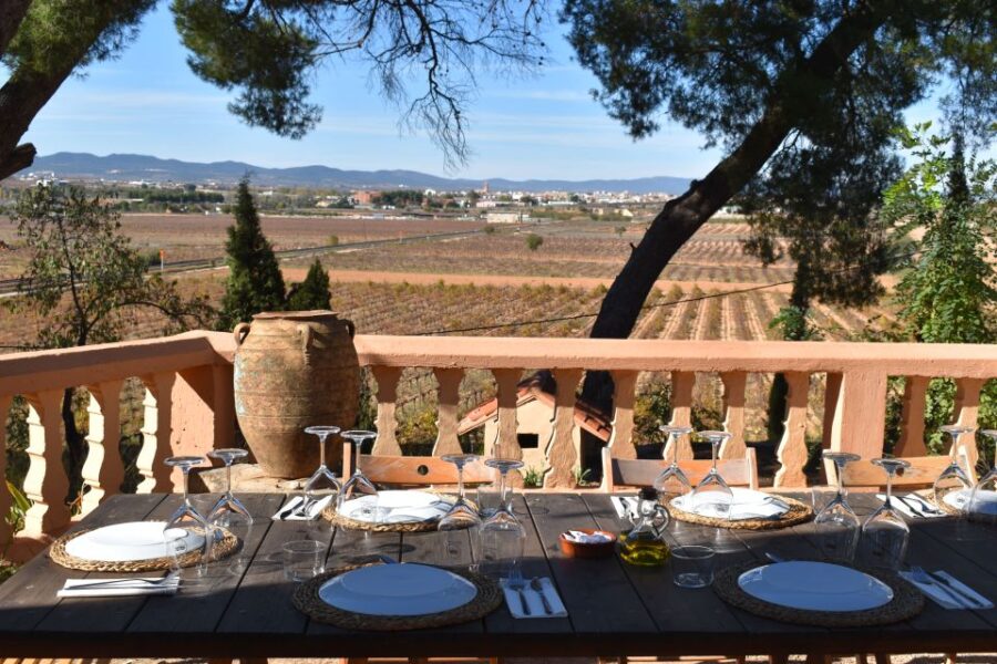 Valencia: Utiel-Requena Cave & Winery Day Trip With Tasting