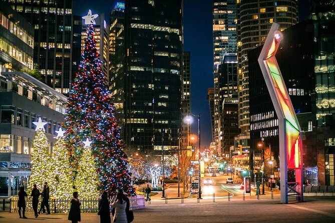 Vancouver Christmas Light Tour Private - Tour Overview