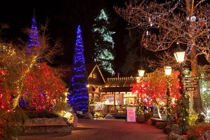 Vancouver City and Capilano Suspension Bridge Canyon Lights Tour