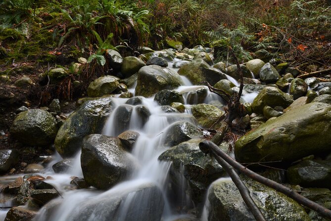 Vancouver Full Day Nature & Photography - Tour Overview