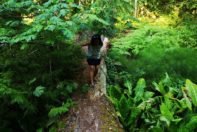 3 Best Guided Tours In Victoria