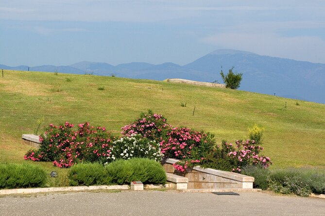 Vergina and Veria Half-Day Tour From Thessaloniki