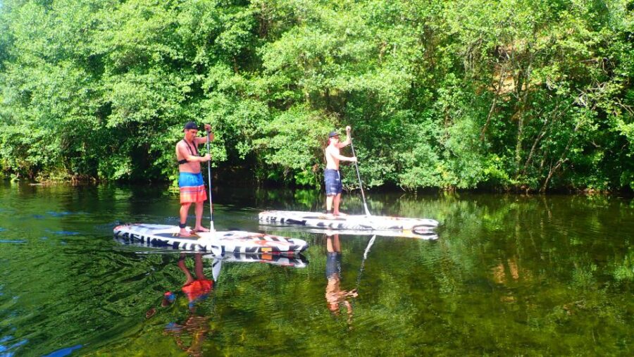 Viana Do Castelo: Vez River SUP With Transfer Options