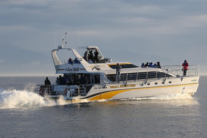 Victoria Marine Wildlife Tour