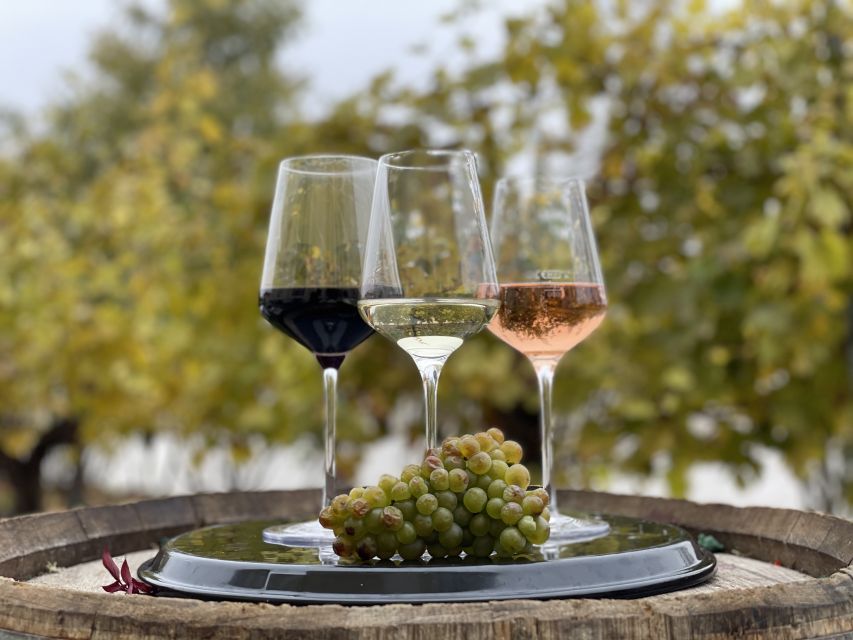 Vienna: Skip-the-Line Schönbrunn Palace Entry & Wine Tasting