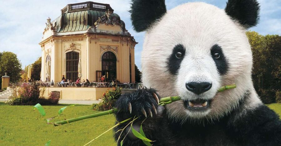 Vienna: Skip-the-line Tickets for Schönbrunn Zoo - Overview of Schonbrunn Zoo