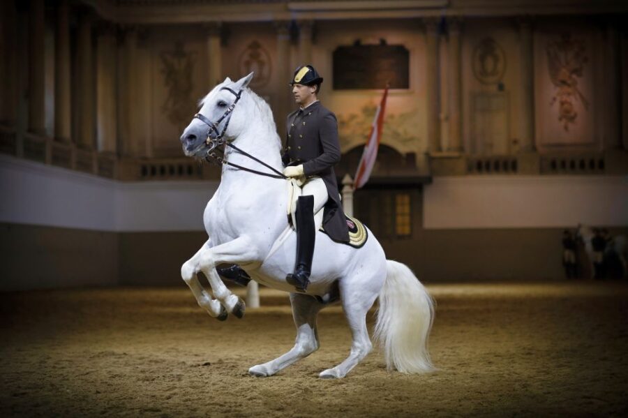 Vienna: Spanish Riding School 45-Minute Performance Show