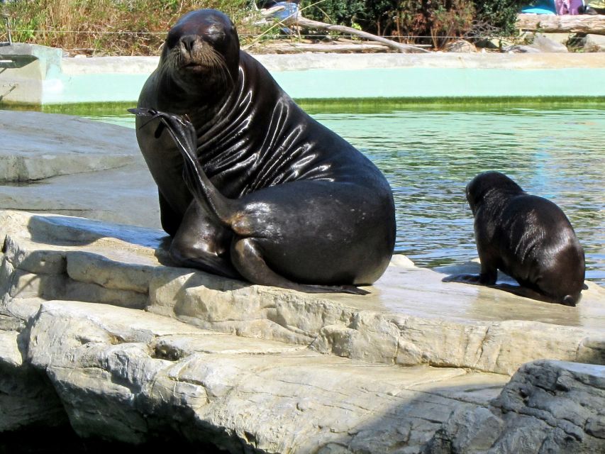 Vienna: Zoo With Private Flexible Transfers and Tickets