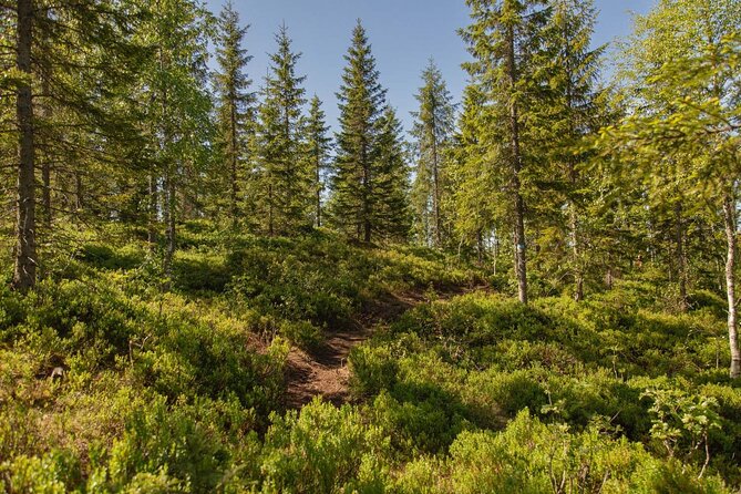 View of the Oslofjord Walk