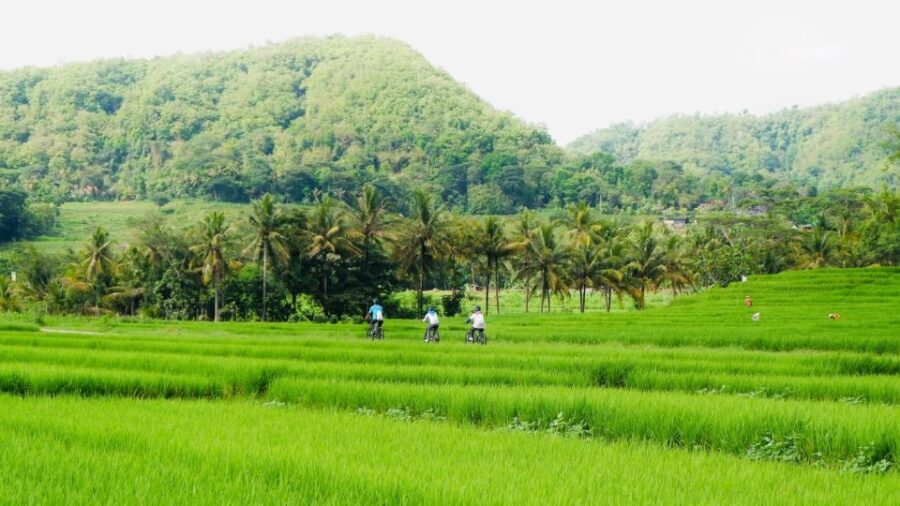 Village Cycling Tour in Nanggulan