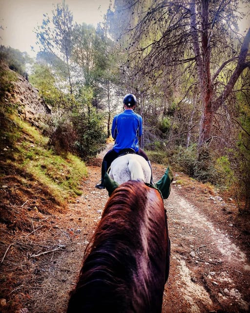 Villajoyosa Horseback Riding in the Mountains With Sea Views