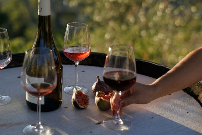 Vineyard Tour With Wine Tasting Within Nice City Borders