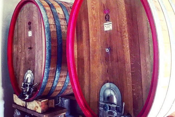 Vineyard Visit in Gyropode, Visit of Cave & Tasting Wines of Bandol