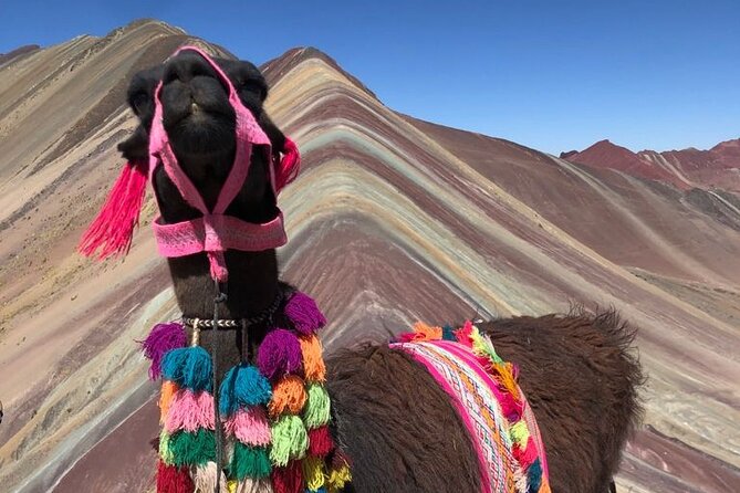 Vinicunca Rainbow Mountain Tour Including Breakfast & Lunch From Cusco
