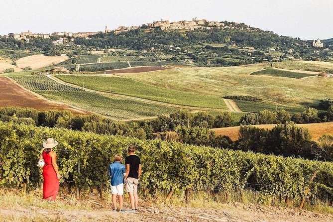 Vino Nobile Di Montepulciano Wine Tour - Meet the Producers