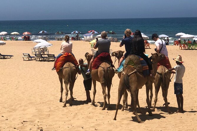 Vip Full Day Private Tangier Tour From Malaga All Inclusive - Tour Overview