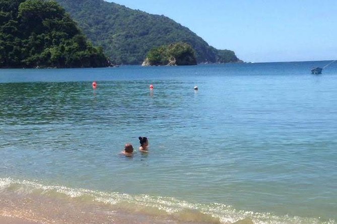 VIP Inclusive Private Tour of Island (Lunch, Drinks + Snorkeling)