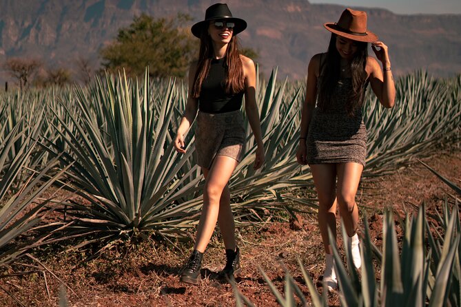 VIP Tequila Night Tour With Dinner and Tasting - Tour Overview
