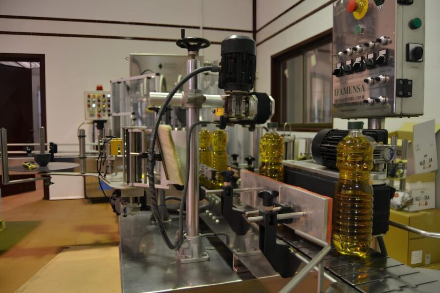 Visit an Olive Oil Mill + Extra Virgin Olive Oil Tasting: Baeza