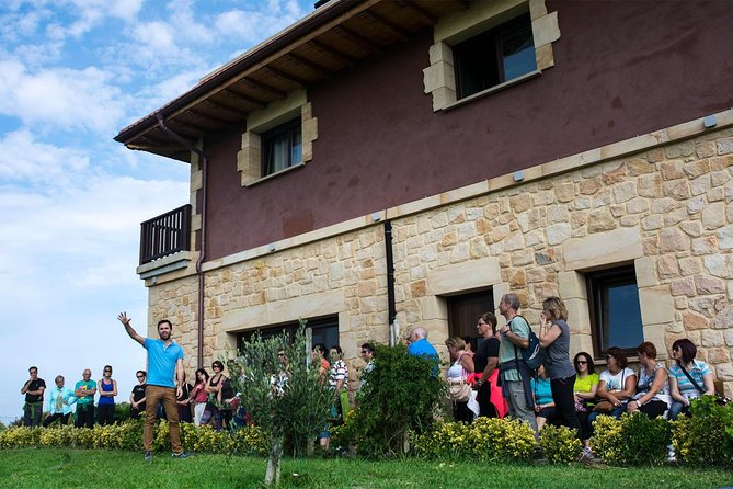 Visit and Private Tasting at the Txakolí Gaintza Winery
