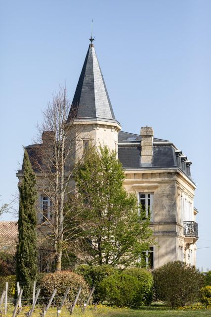 Visit & Tasting Château Yon-Figeac Grand Cru Classé - Tour Details
