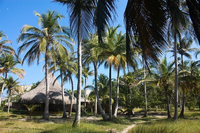 Visit The 5 Best Places In Islas Del Rosario & Baru By Sport Boat