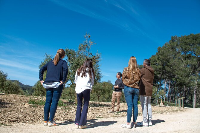 Visit the Finca and Olive Grove, Extra Virgin Olive Oil Tasting and Snack