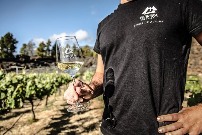 Visit to Arafo Mountain Vineyard and Organic Wine Tasting