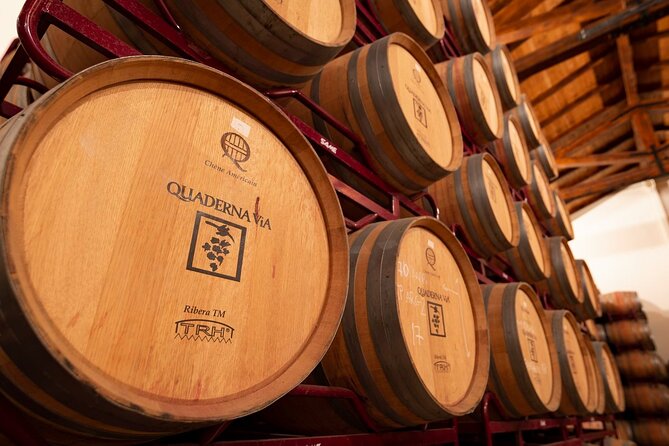 Visit to the Winery With Wine Tasting and Appetizers in Navarra - Overview of the Experience
