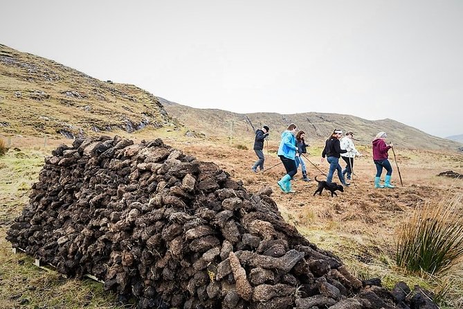 3 Best Guided Tours In Westport