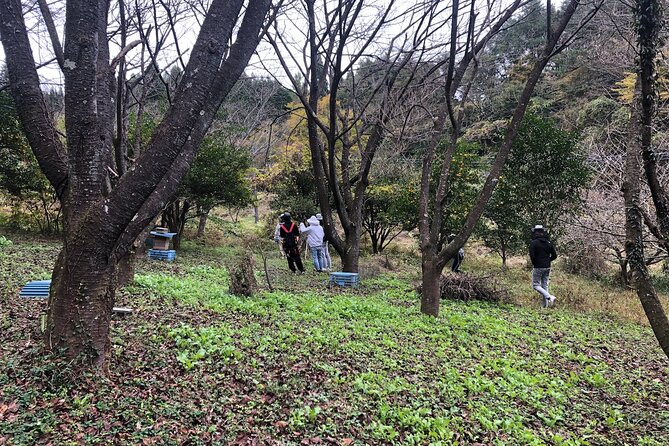 Visiting Beekeeper and Beeswax Craft Making in Bungoono City