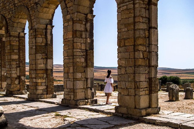 Volubilis and Meknes Day Trip From Fez