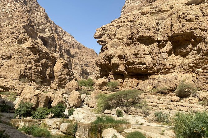 Wadi Tiwi Adventure With Local Guide