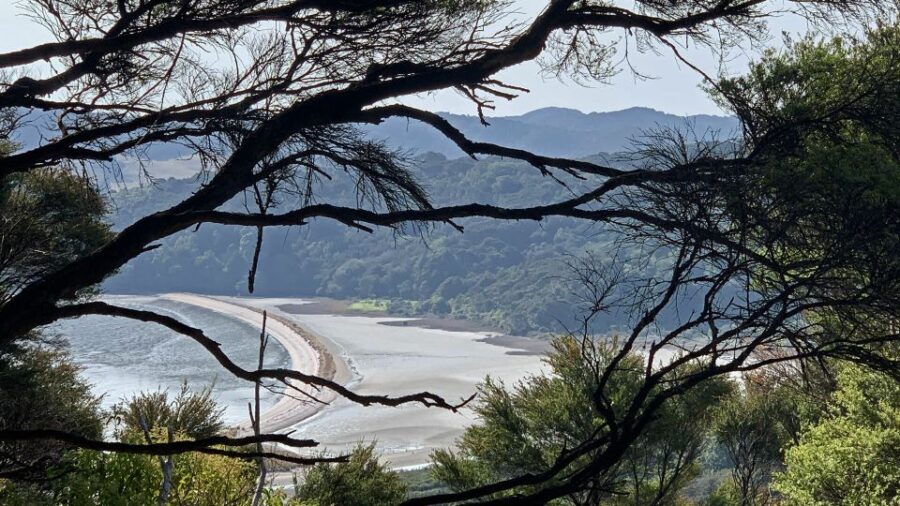Waiheke Island: 5-Day Self-Guided Te Ara Hura Walk