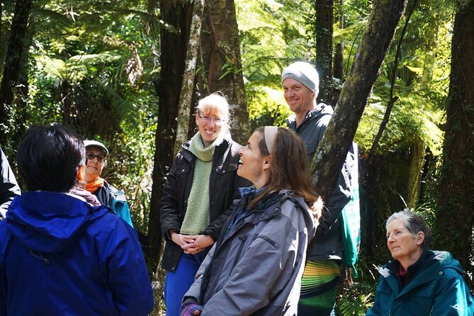 Waiheke Island Private Forest Therapy Walk