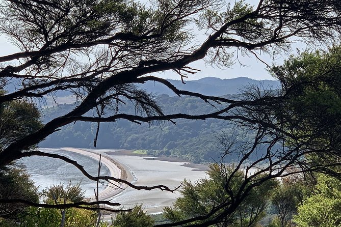 Waiheke Island Private Freedom Te Ara Hura Walk