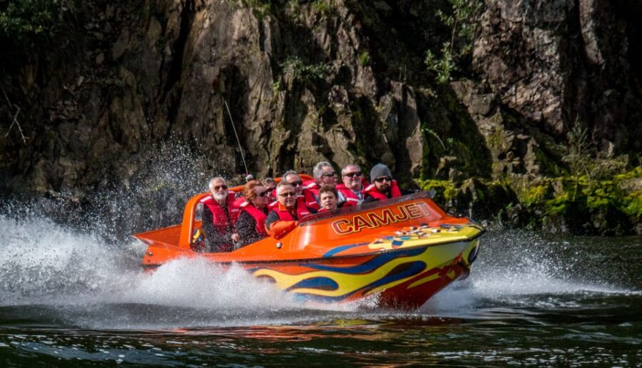 2 Best Cruises And Boat Tours In Hamilton New Zealand