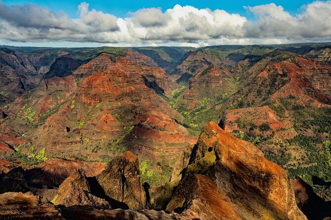 Waimea Canyon Private Tour With Local Guide