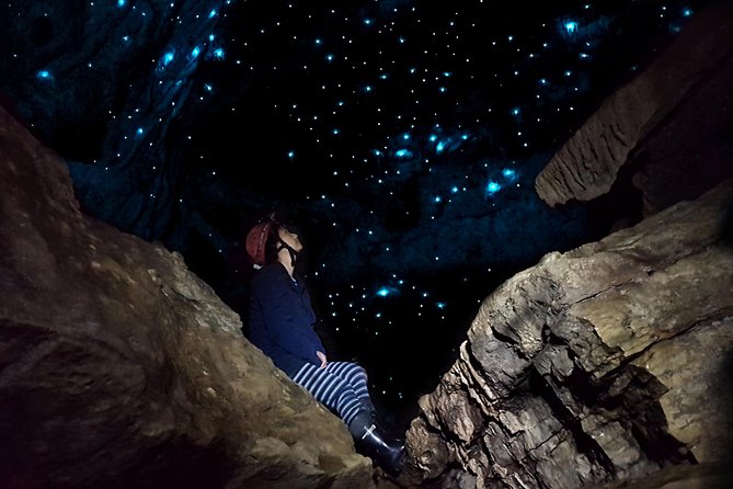 Waitomo - Eco Adventure Glowworm Cave Tour - Off the Beaten Track - Tour Overview and Highlights