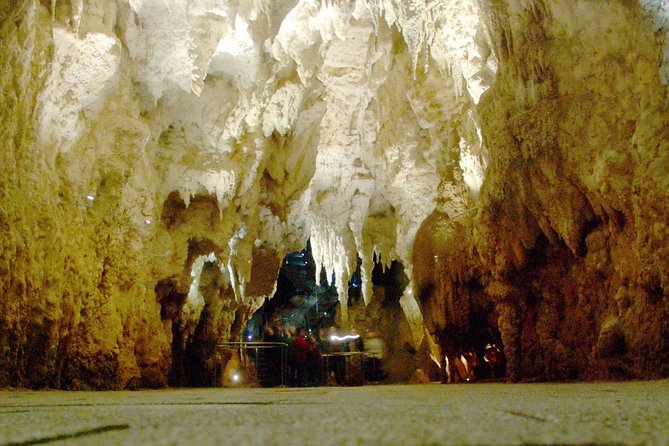 Waitomo Glowworm Caves In a Private Small Group Tour-Auckland.