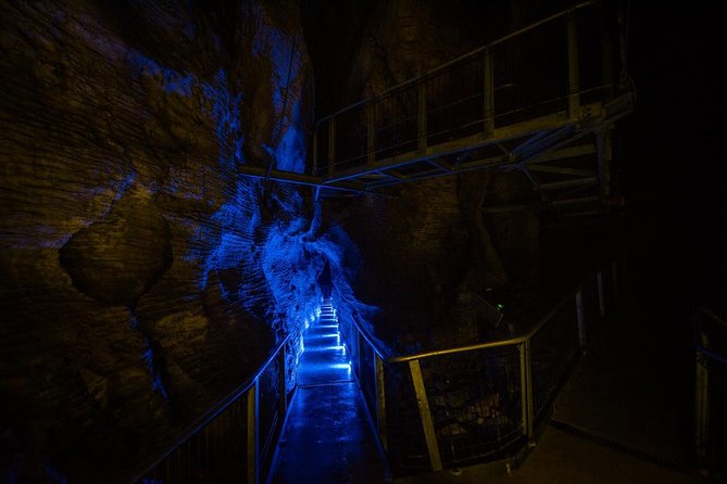 Waitomo Glowworm & Ruakuri Twin Cave Experience – Small Group Tour From Auckland