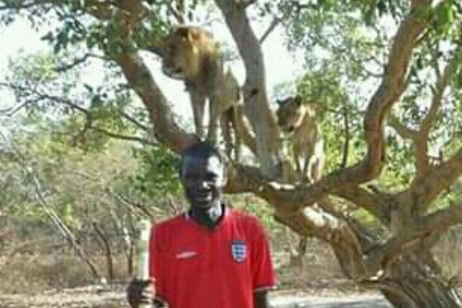 Walking With the Lions in Fathala Reserve
