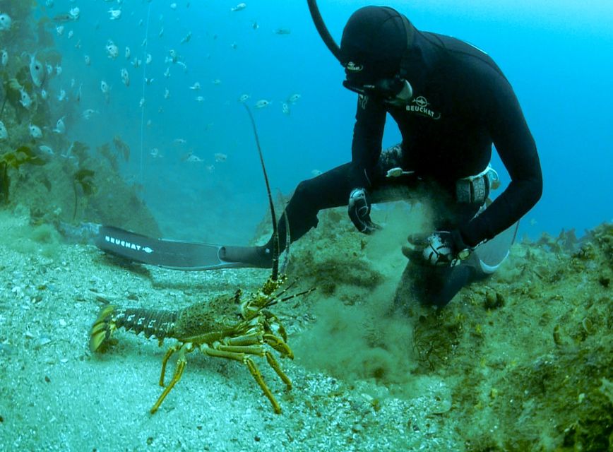 Warkworth: Full-Day Spearfishing Charter
