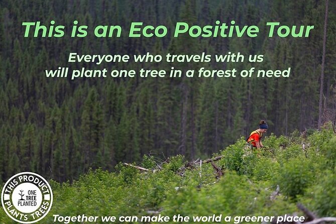 Washington DC Day Trip From New York City - Tour Inclusions