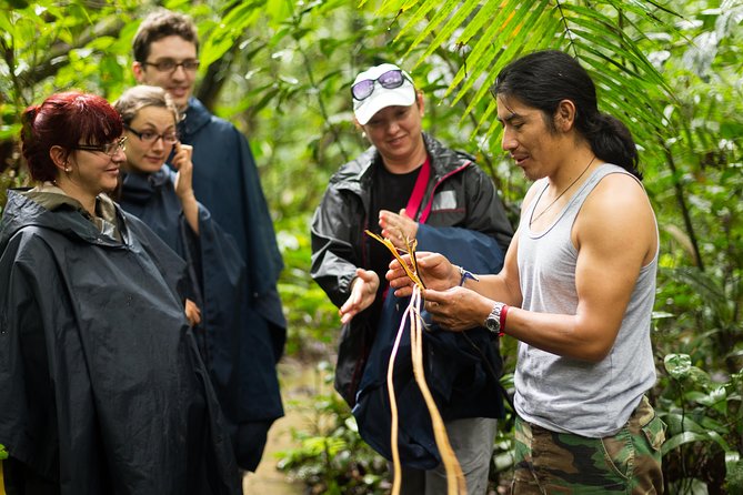 Waterfall Hike, Rainforest, Chocolate Tour, Historical, Private - Hiking Through the Rainforest